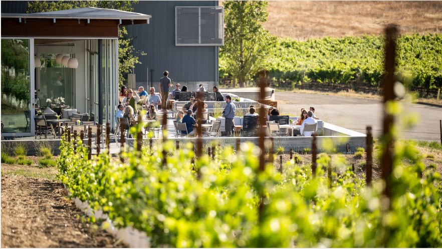 Cuvaison, Napa